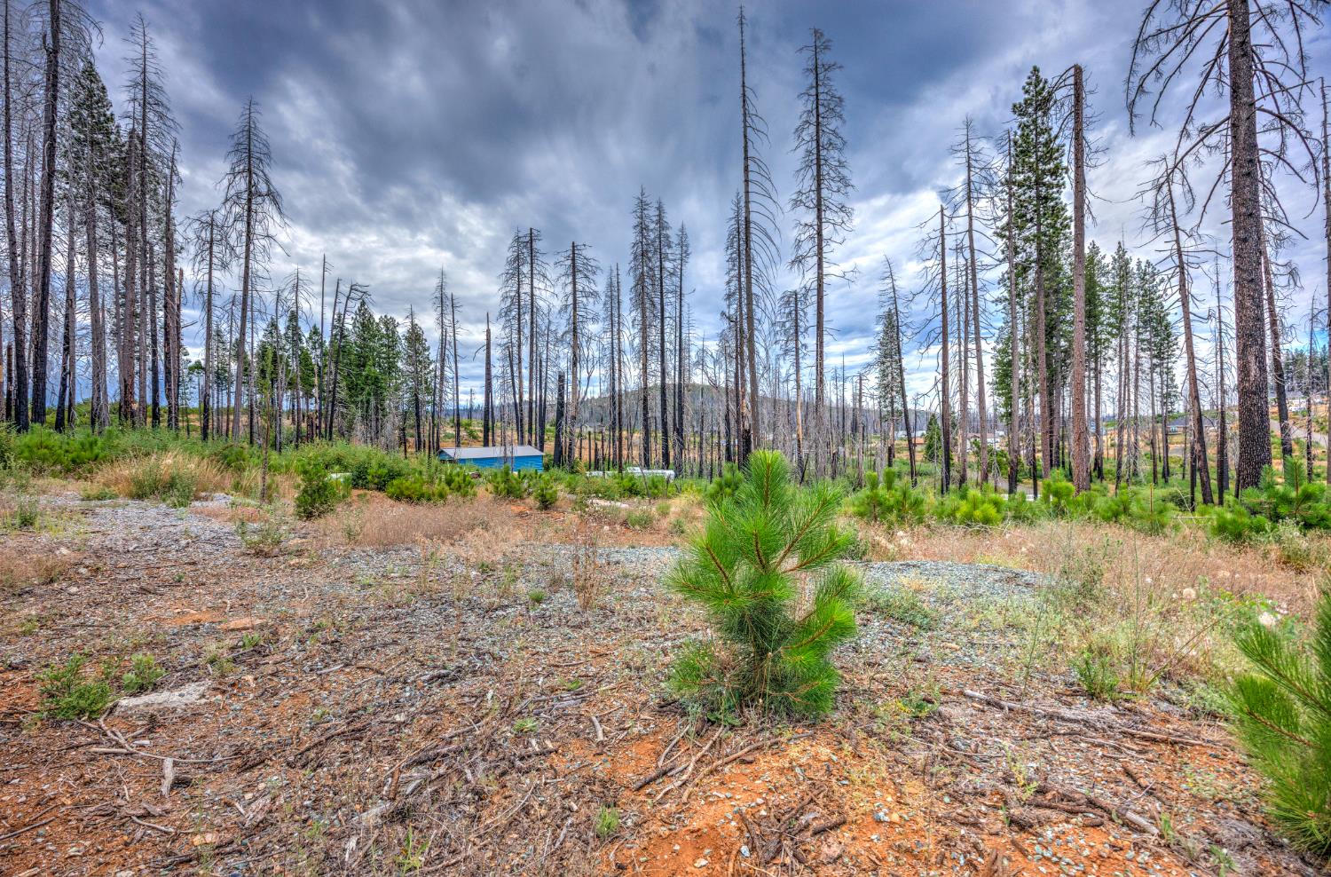 4529 String Canyon Road Grizzly Flats, CA 95636 - Photo 8 of 17
