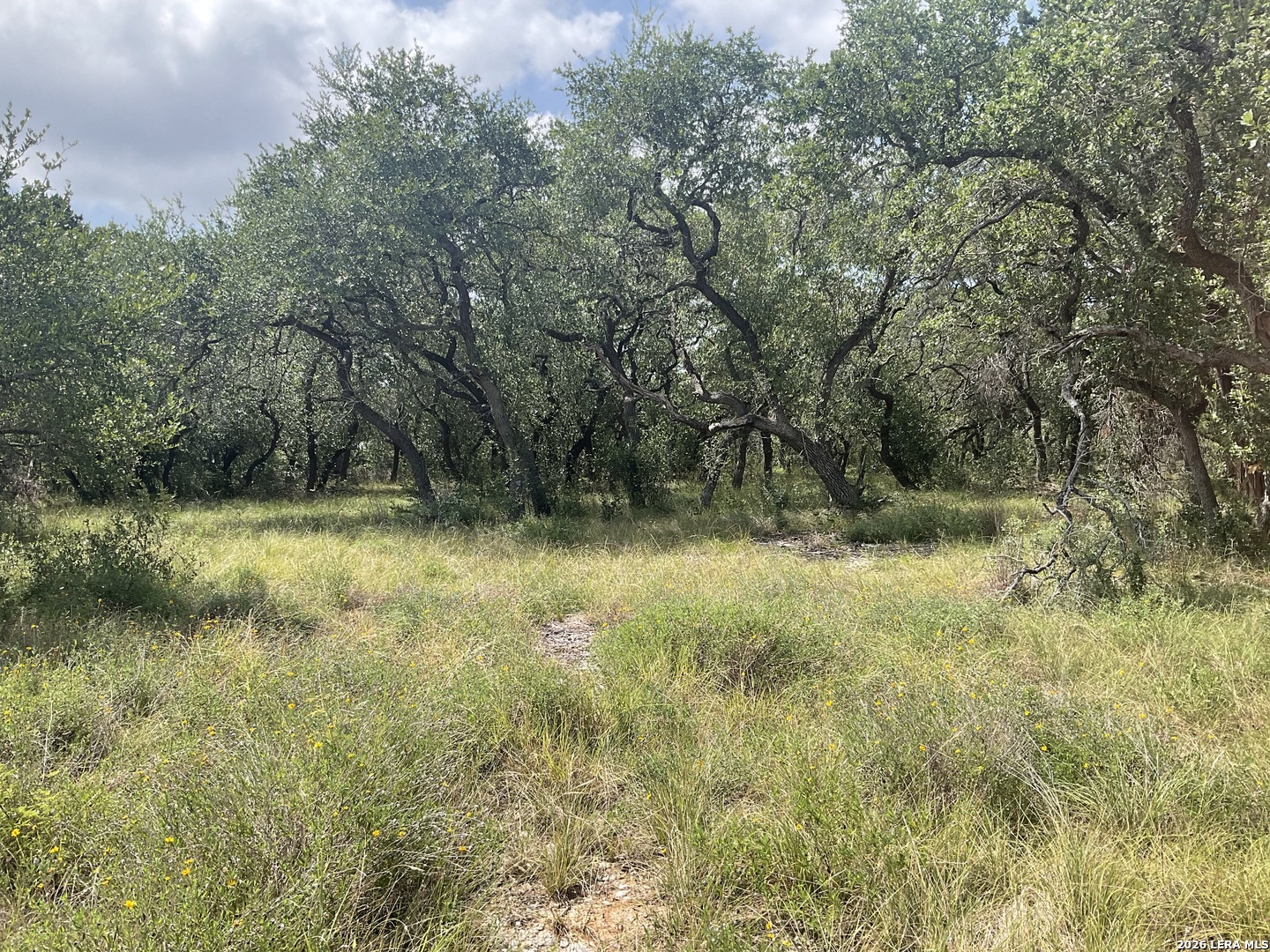 713 Johanna Ridge Road Bulverde, TX 78163 - Photo 12 of 14