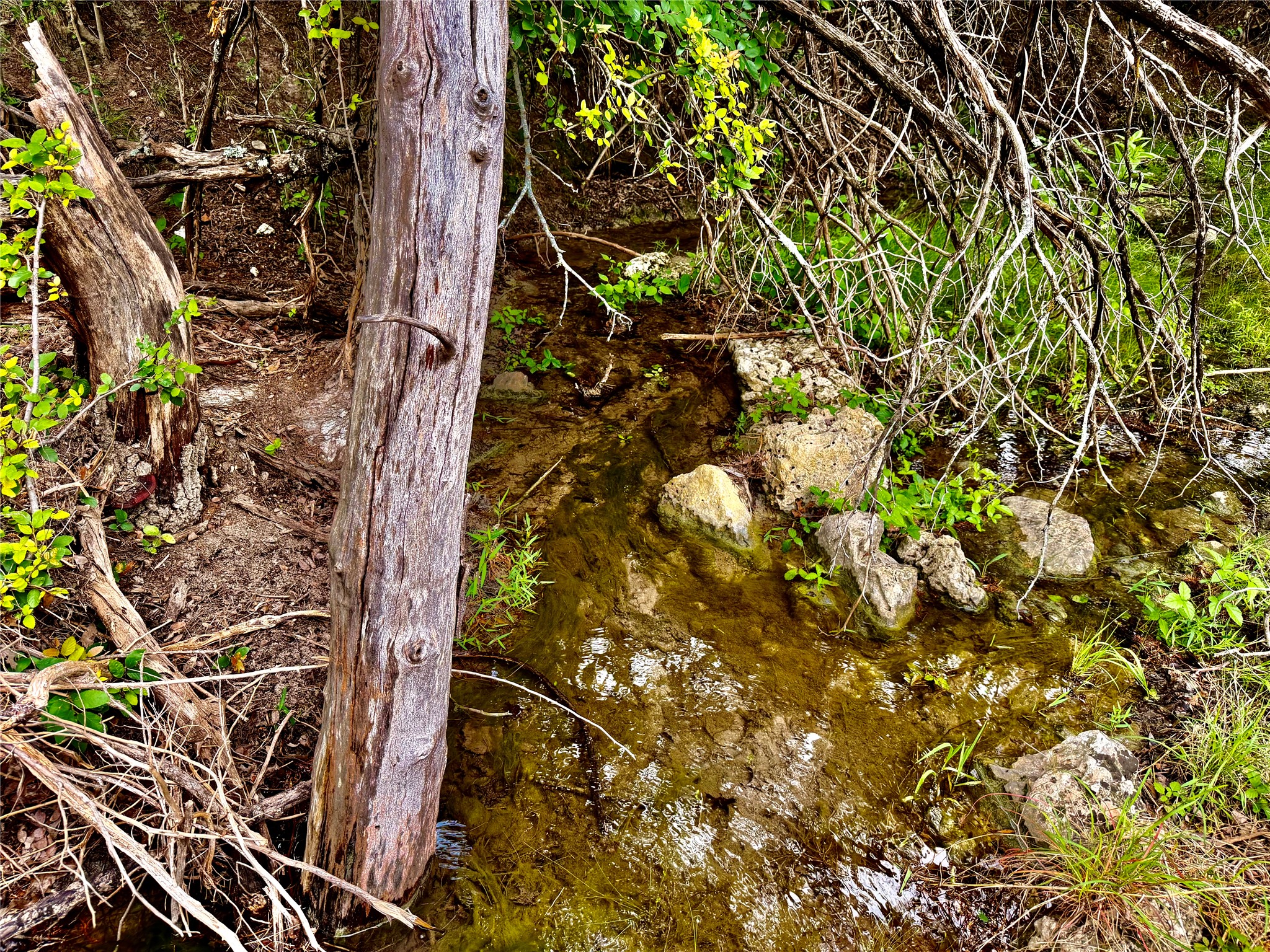2017 County Road 222 Kempner, TX 76539 - Photo 3 of 16 Natural water feature with rocky banks and diverse vegetation