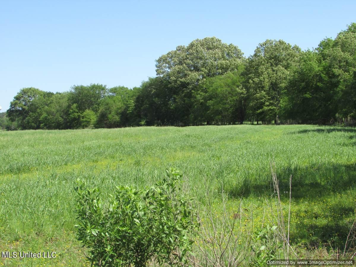 2968 Highway 22 Madison, MS 39110 - Photo 11 of 37 IMG_0012