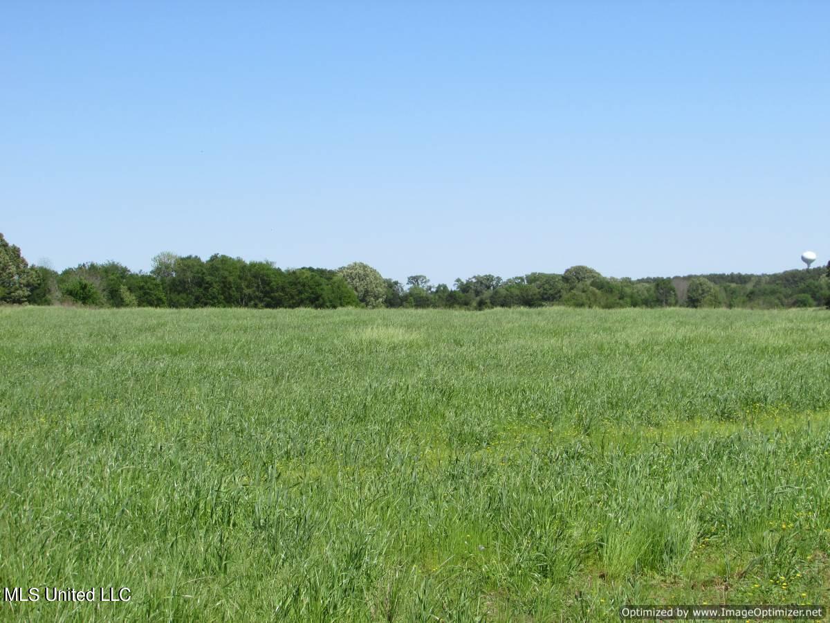 2968 Highway 22 Madison, MS 39110 - Photo 12 of 37 IMG_0013