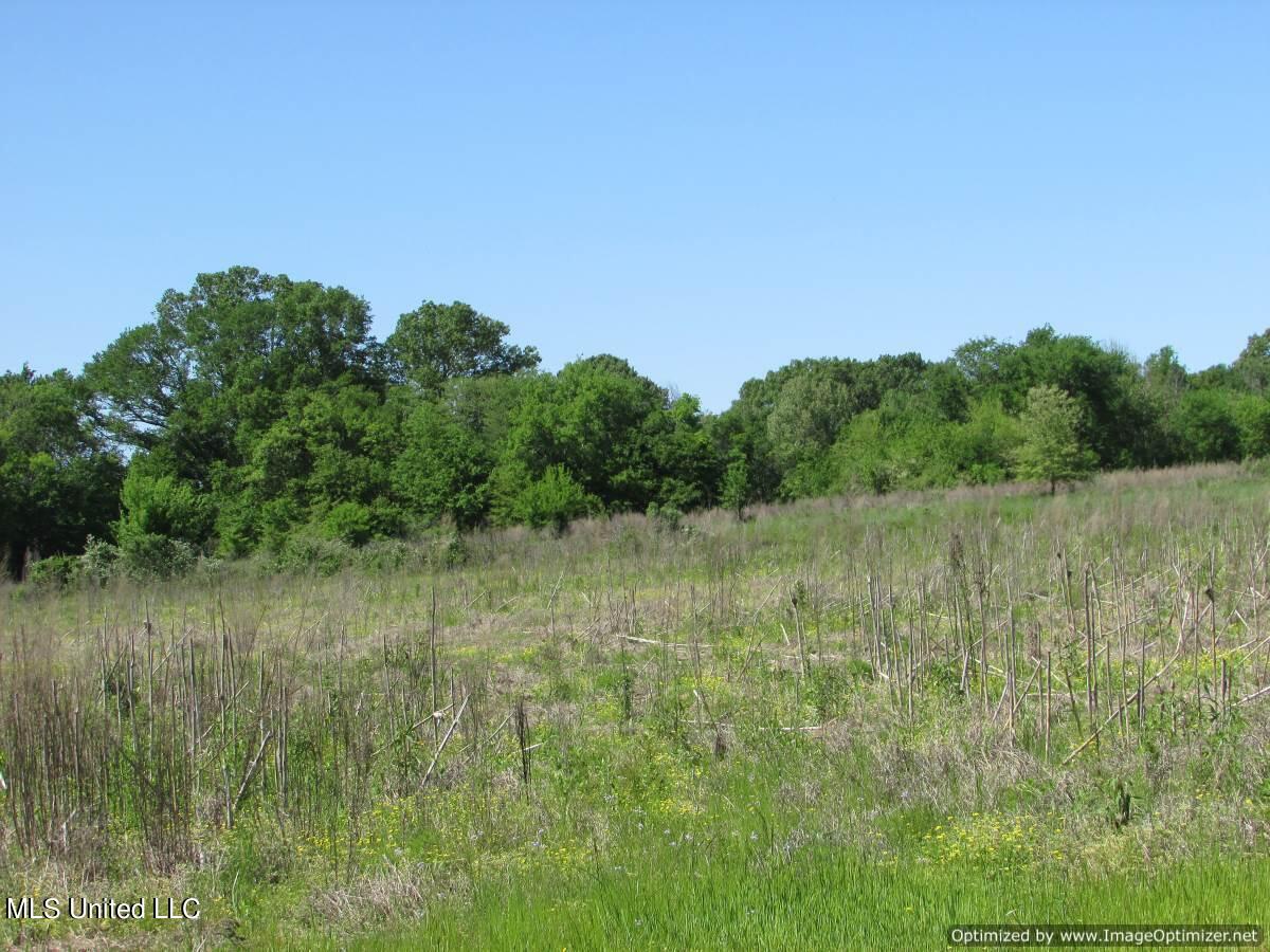 2968 Highway 22 Madison, MS 39110 - Photo 13 of 37 IMG_0014