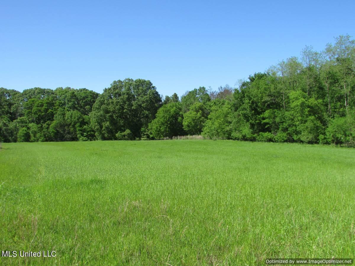 2968 Highway 22 Madison, MS 39110 - Photo 14 of 37 IMG_0015