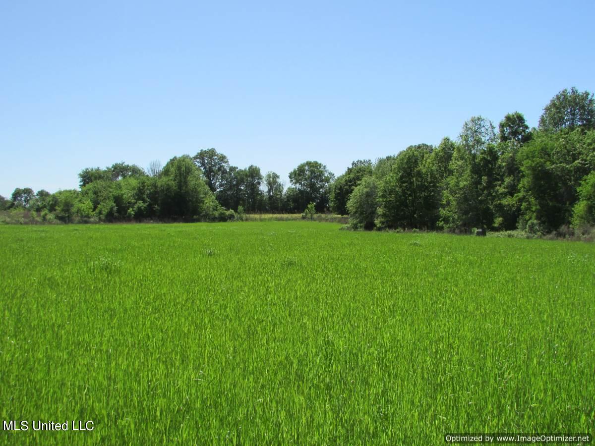 2968 Highway 22 Madison, MS 39110 - Photo 15 of 37 IMG_0016