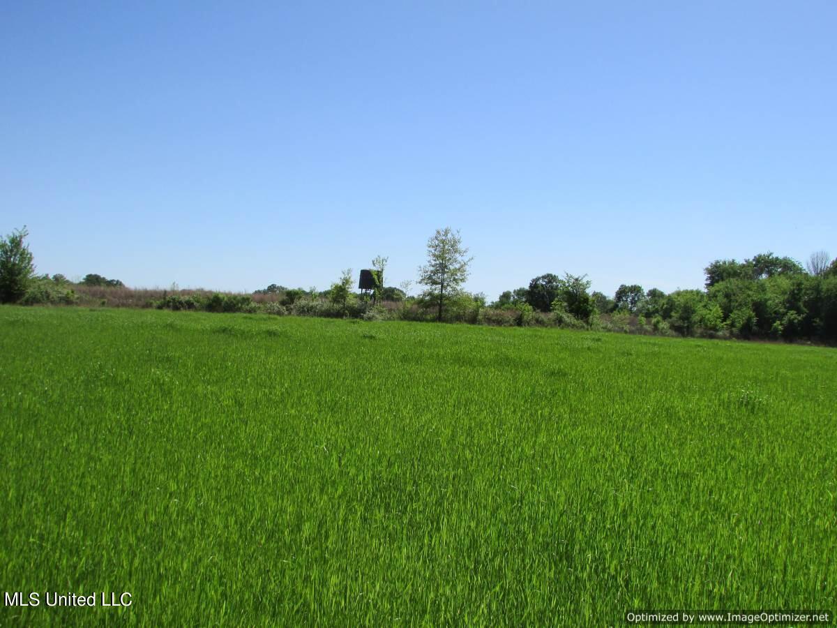 2968 Highway 22 Madison, MS 39110 - Photo 16 of 37 IMG_0017