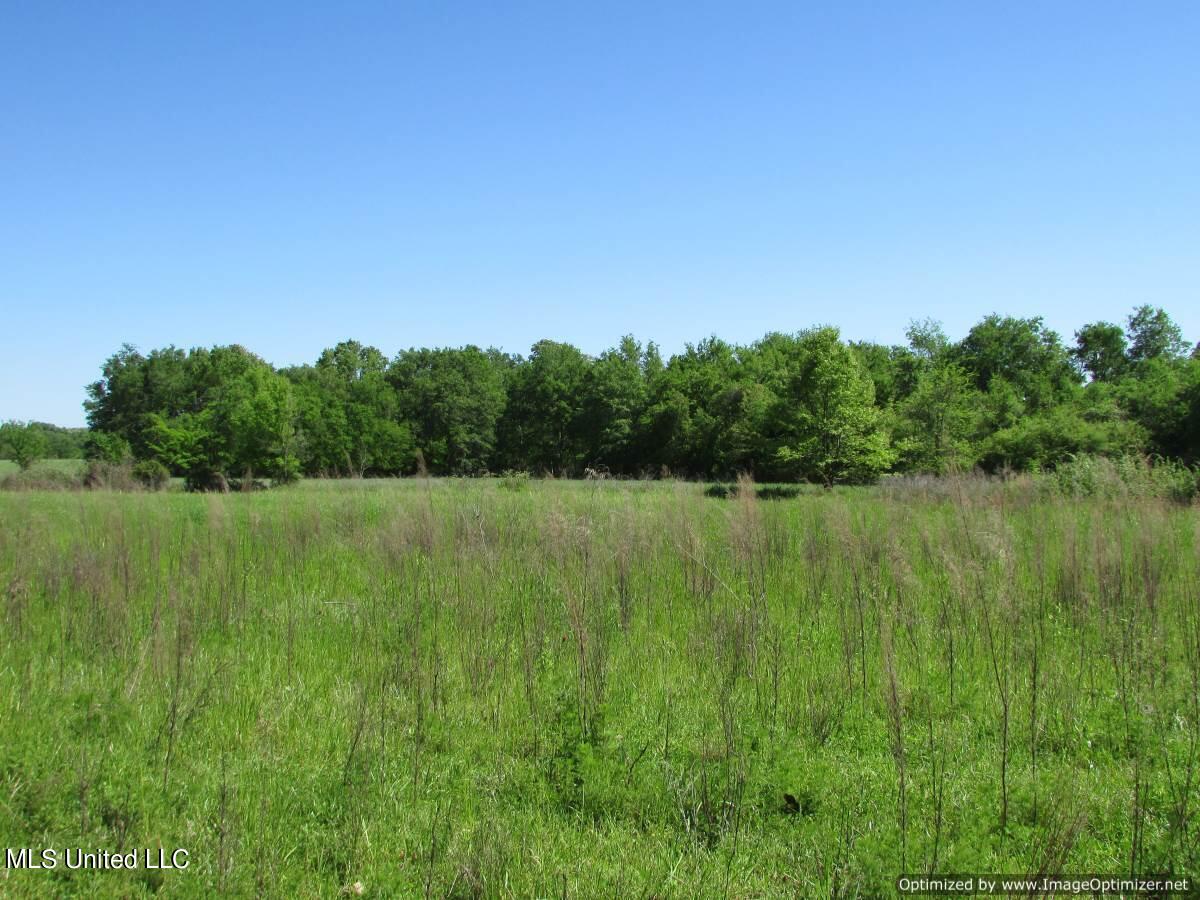 2968 Highway 22 Madison, MS 39110 - Photo 17 of 37 IMG_0018