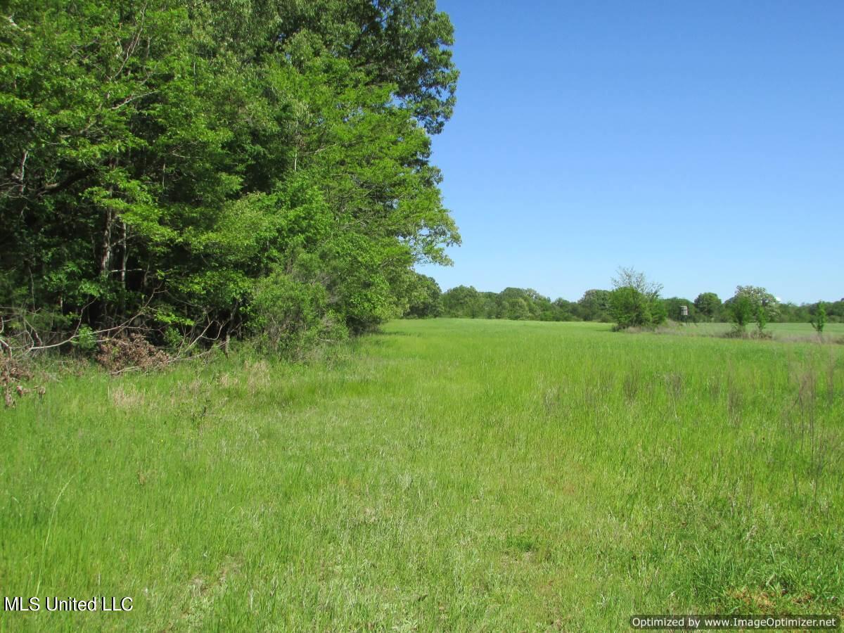 2968 Highway 22 Madison, MS 39110 - Photo 18 of 37 IMG_0019