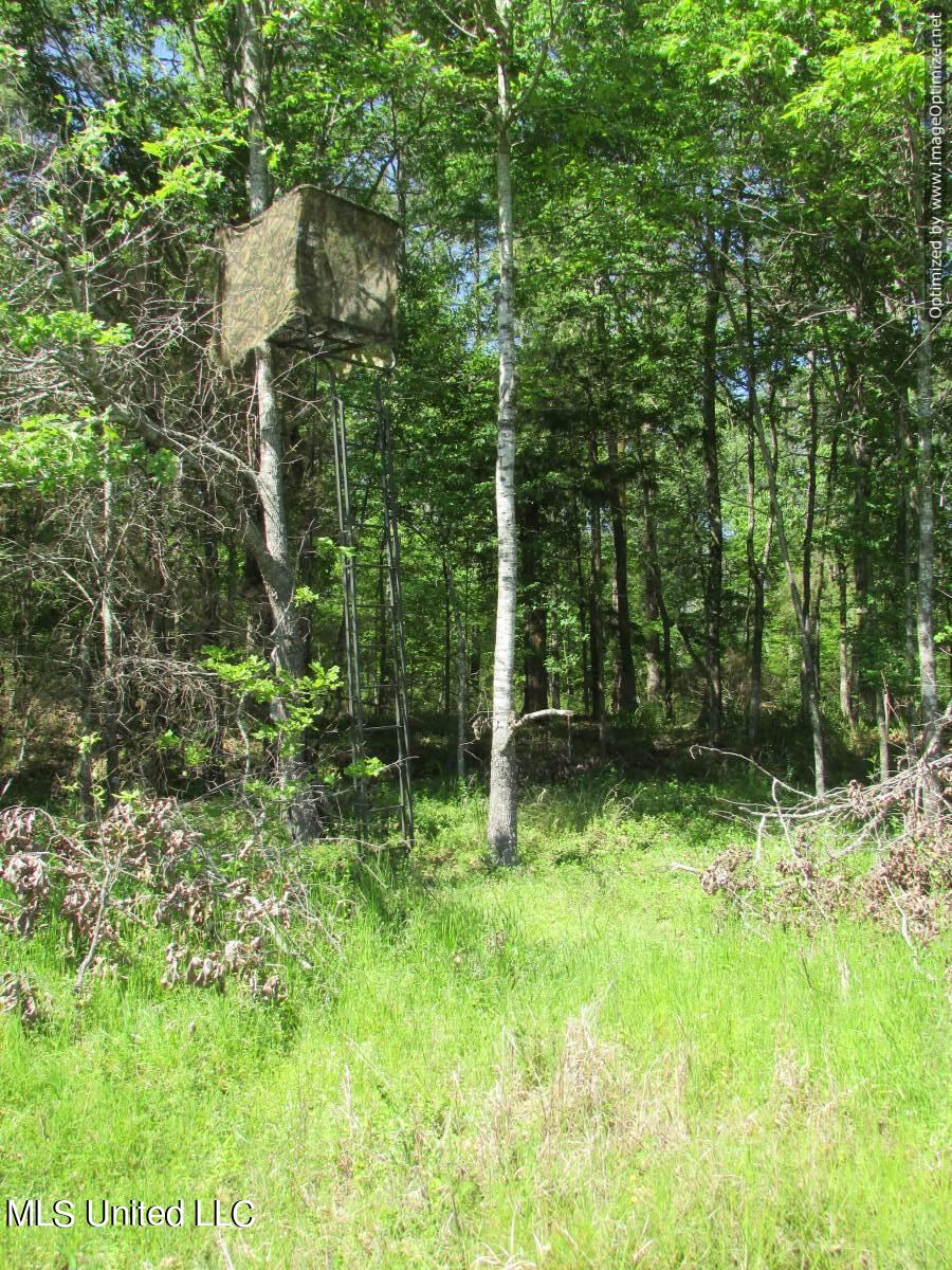 2968 Highway 22 Madison, MS 39110 - Photo 19 of 37 IMG_0020