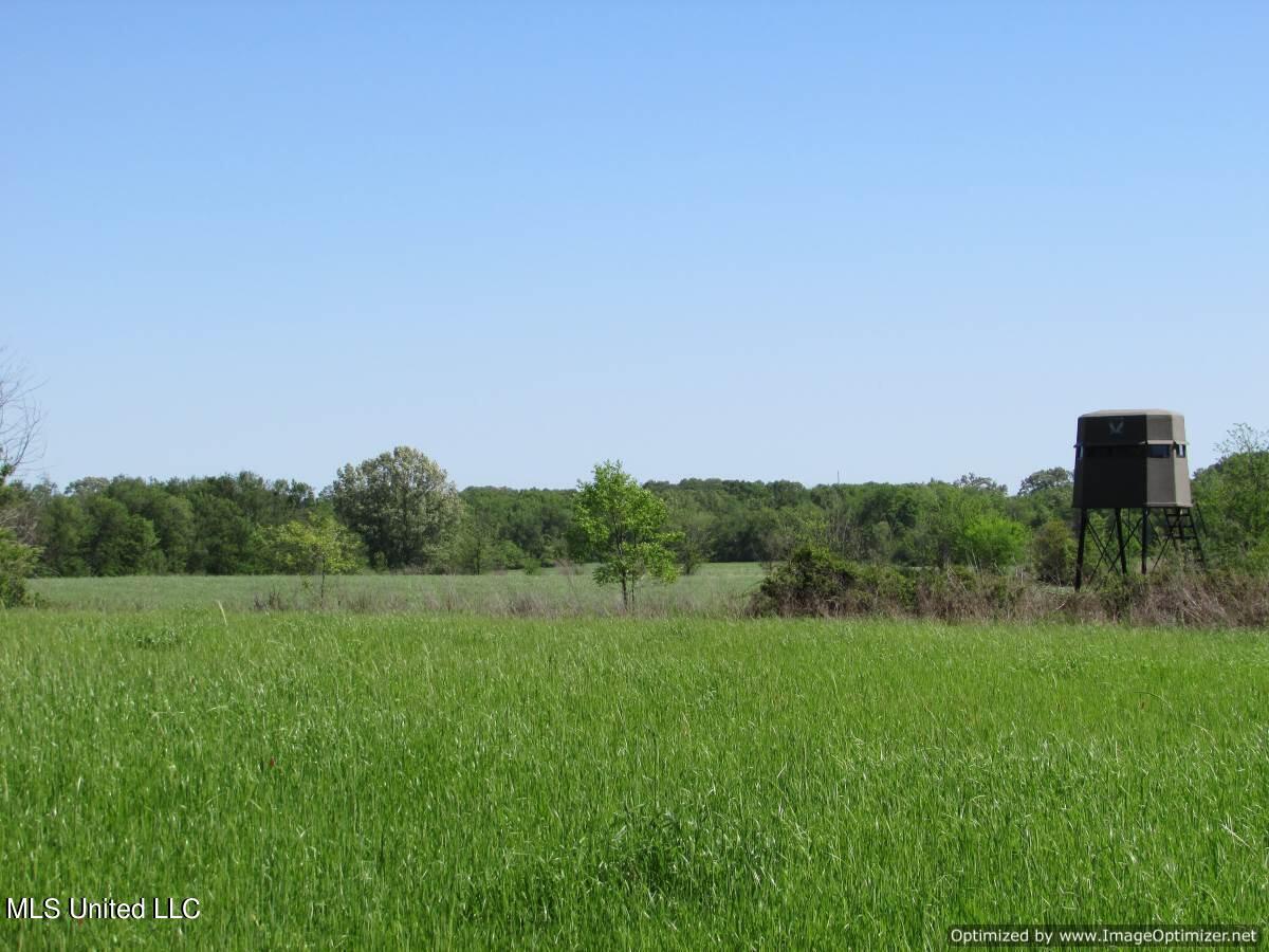 2968 Highway 22 Madison, MS 39110 - Photo 20 of 37 IMG_0021