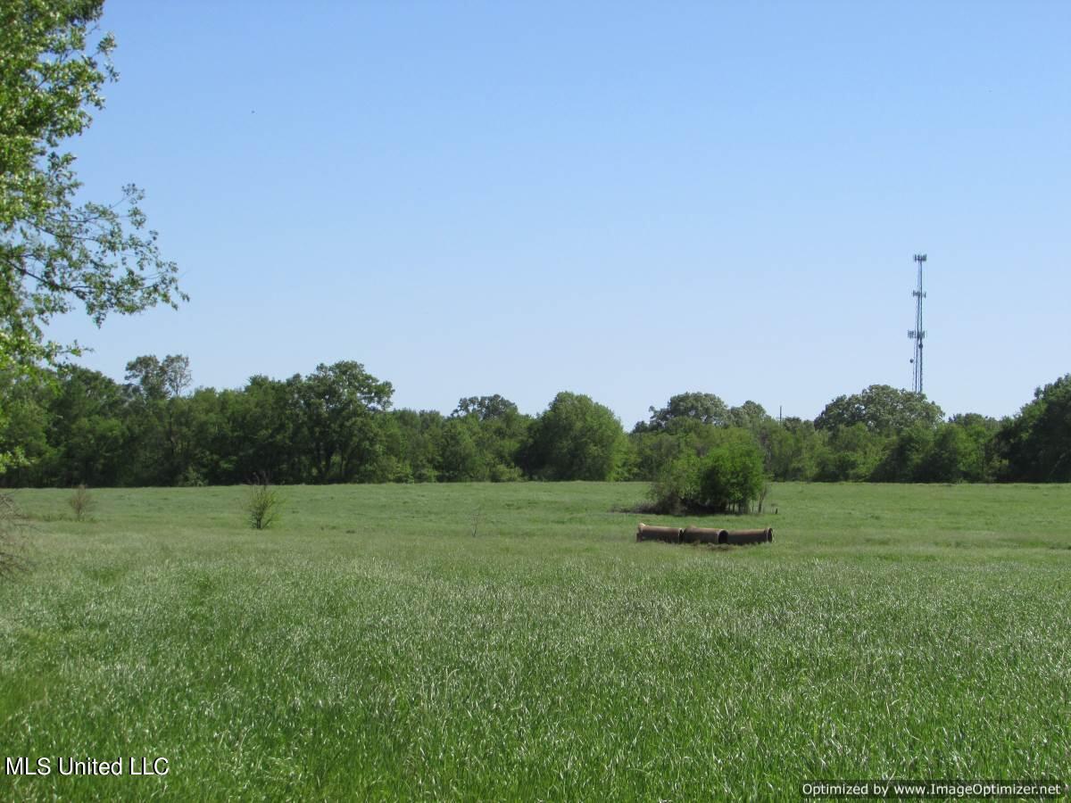 2968 Highway 22 Madison, MS 39110 - Photo 21 of 37 IMG_0022