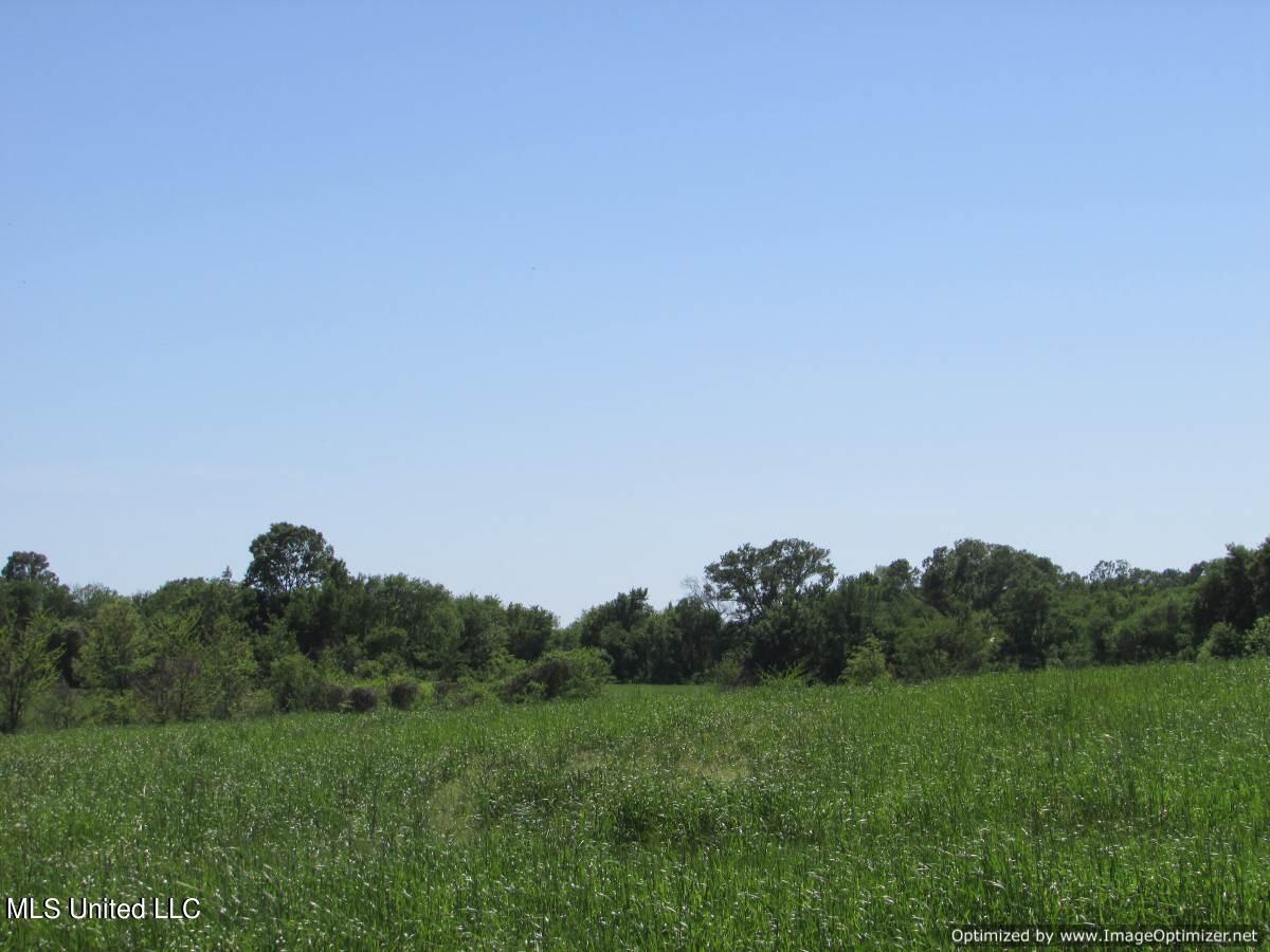 2968 Highway 22 Madison, MS 39110 - Photo 22 of 37 IMG_0023