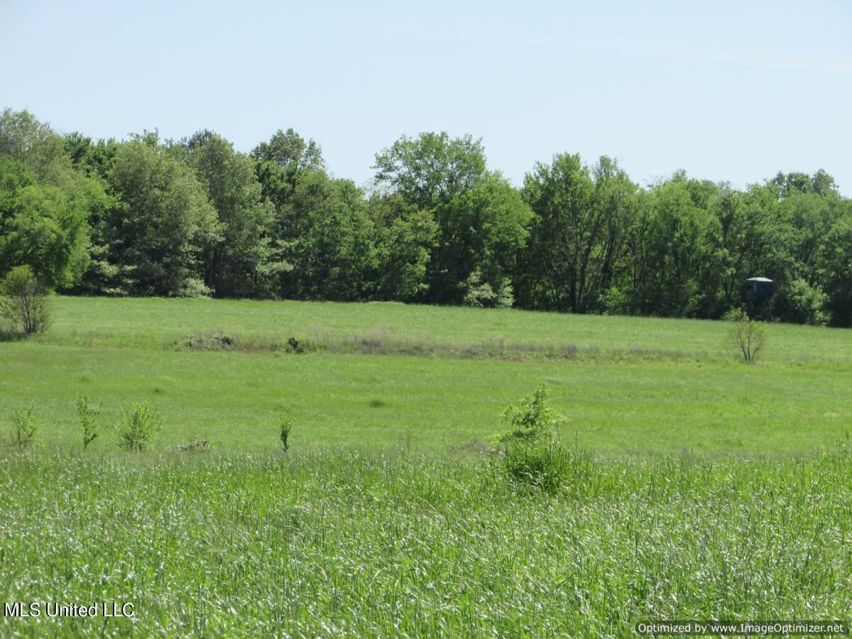 2968 Highway 22 Madison, MS 39110 - Photo 23 of 37 IMG_0024