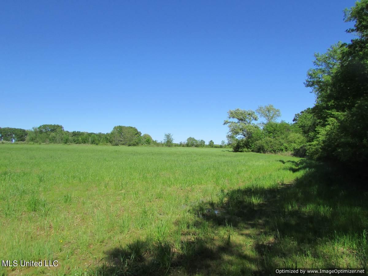 2968 Highway 22 Madison, MS 39110 - Photo 25 of 37 IMG_0026