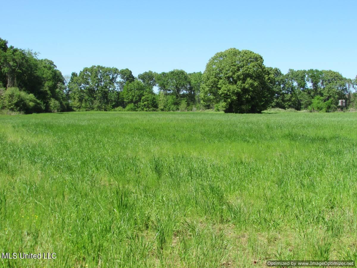 2968 Highway 22 Madison, MS 39110 - Photo 26 of 37 IMG_0027