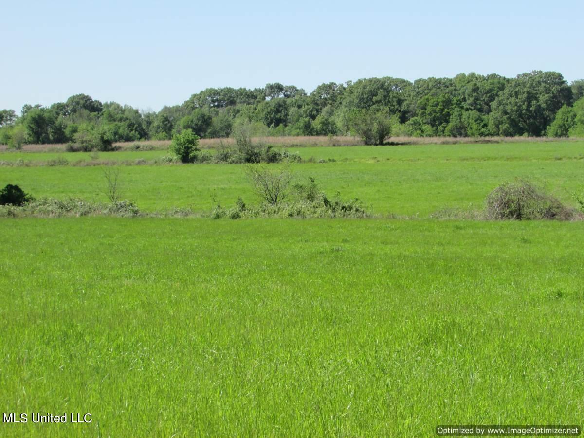 2968 Highway 22 Madison, MS 39110 - Photo 30 of 37 IMG_0031