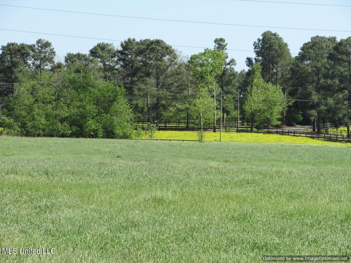 2968 Highway 22 Madison, MS 39110 - Photo 32 of 37 IMG_0037