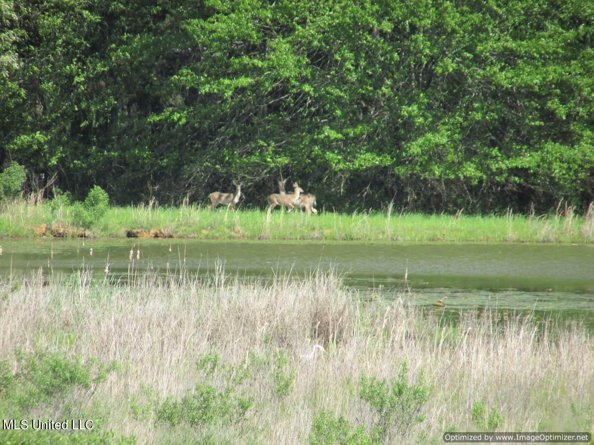 2968 Highway 22 Madison, MS 39110 - Photo 35 of 37 IMG_0043