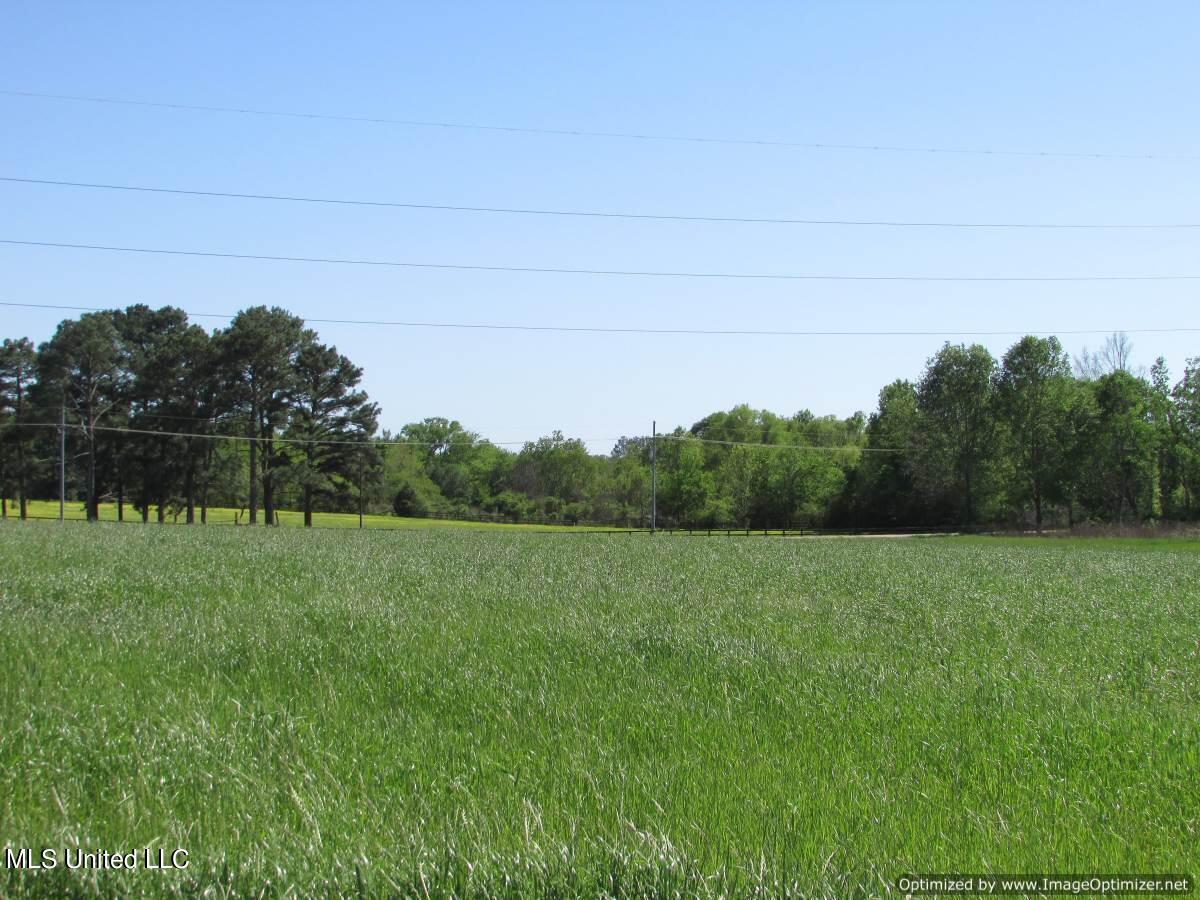 2968 Highway 22 Madison, MS 39110 - Photo 36 of 37 IMG_0044