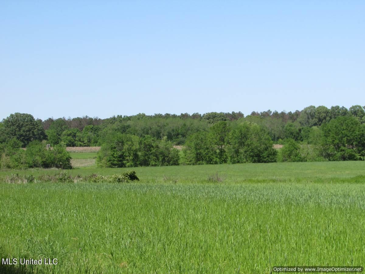 2968 Highway 22 Madison, MS 39110 - Photo 7 of 37 IMG_0007