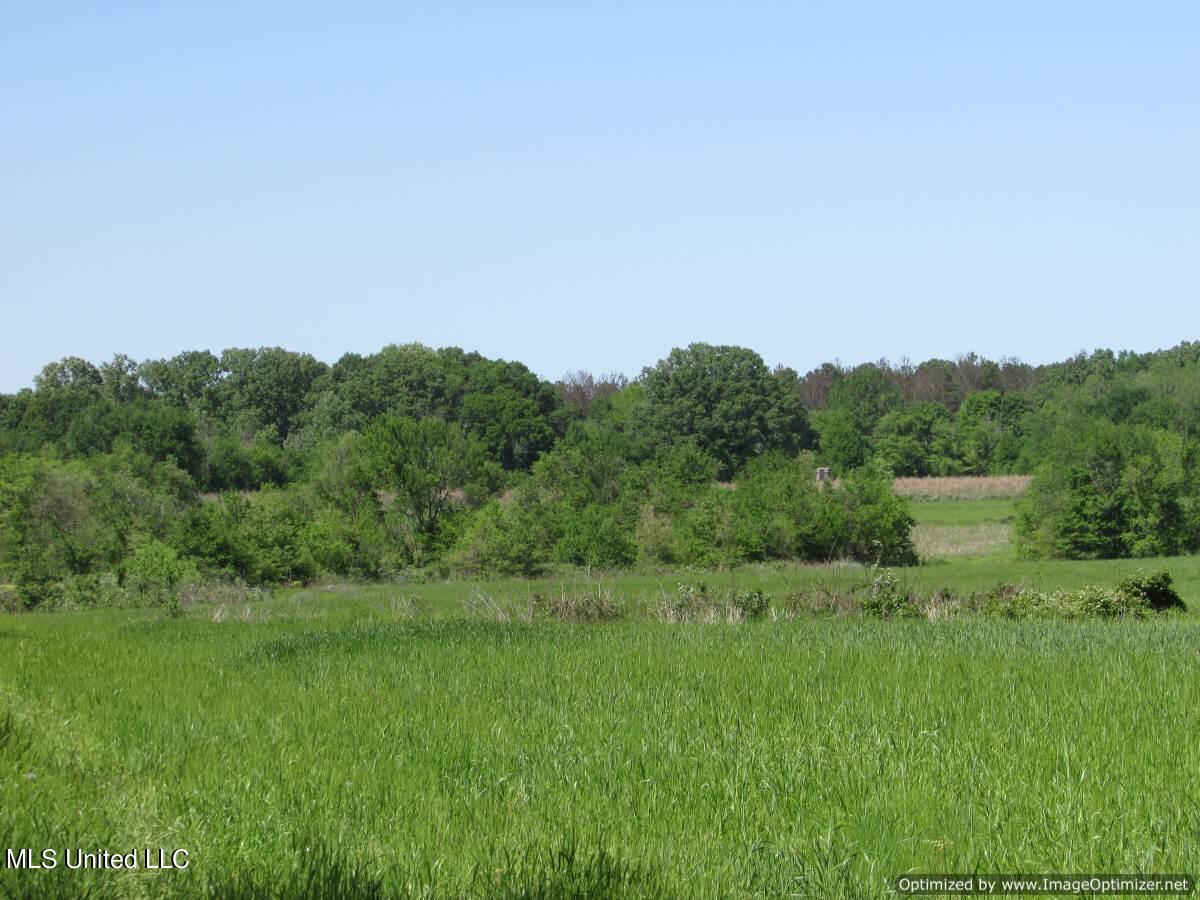 2968 Highway 22 Madison, MS 39110 - Photo 8 of 37 IMG_0008