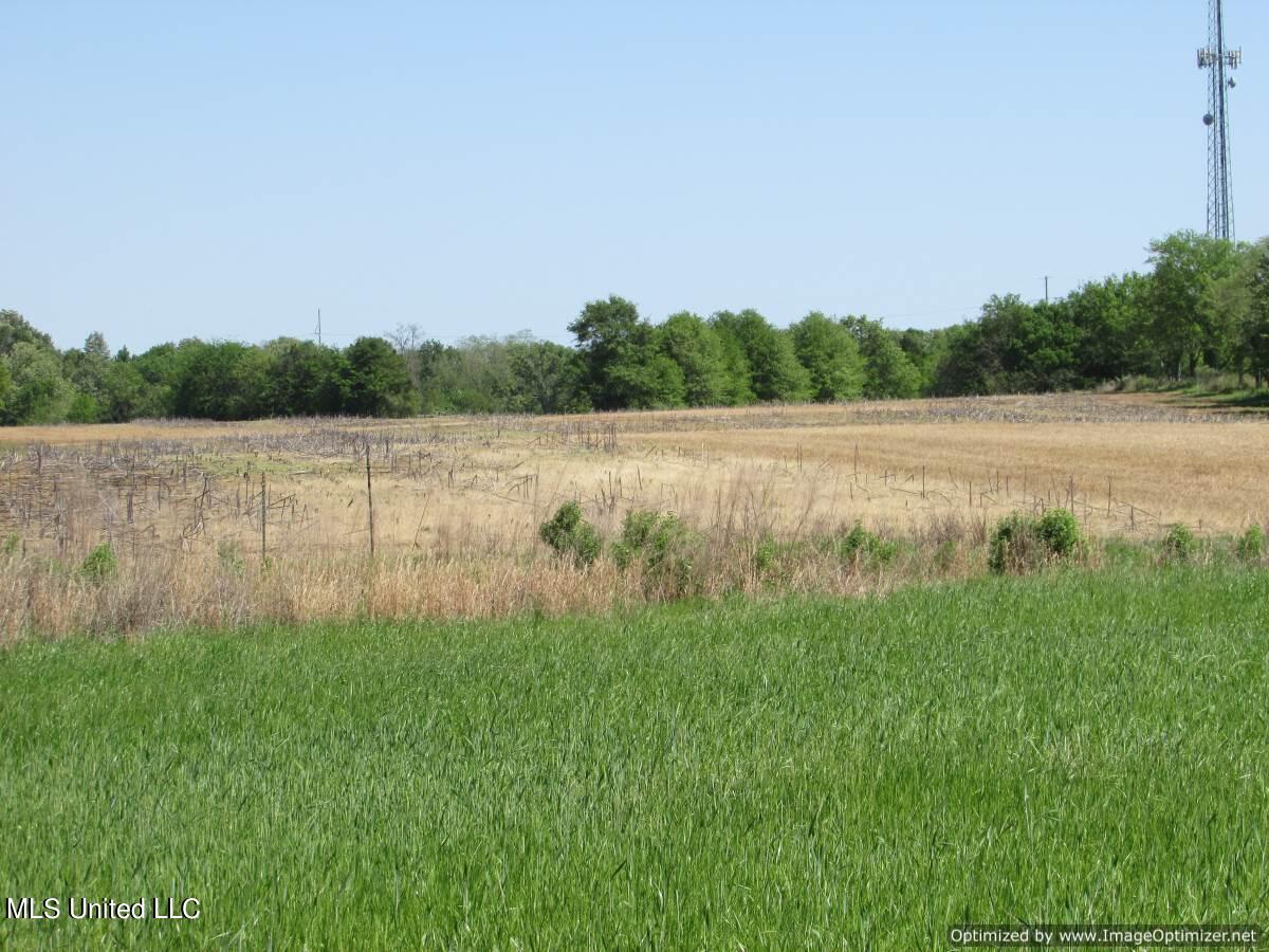 2968 Highway 22 Madison, MS 39110 - Photo 9 of 37 IMG_0009