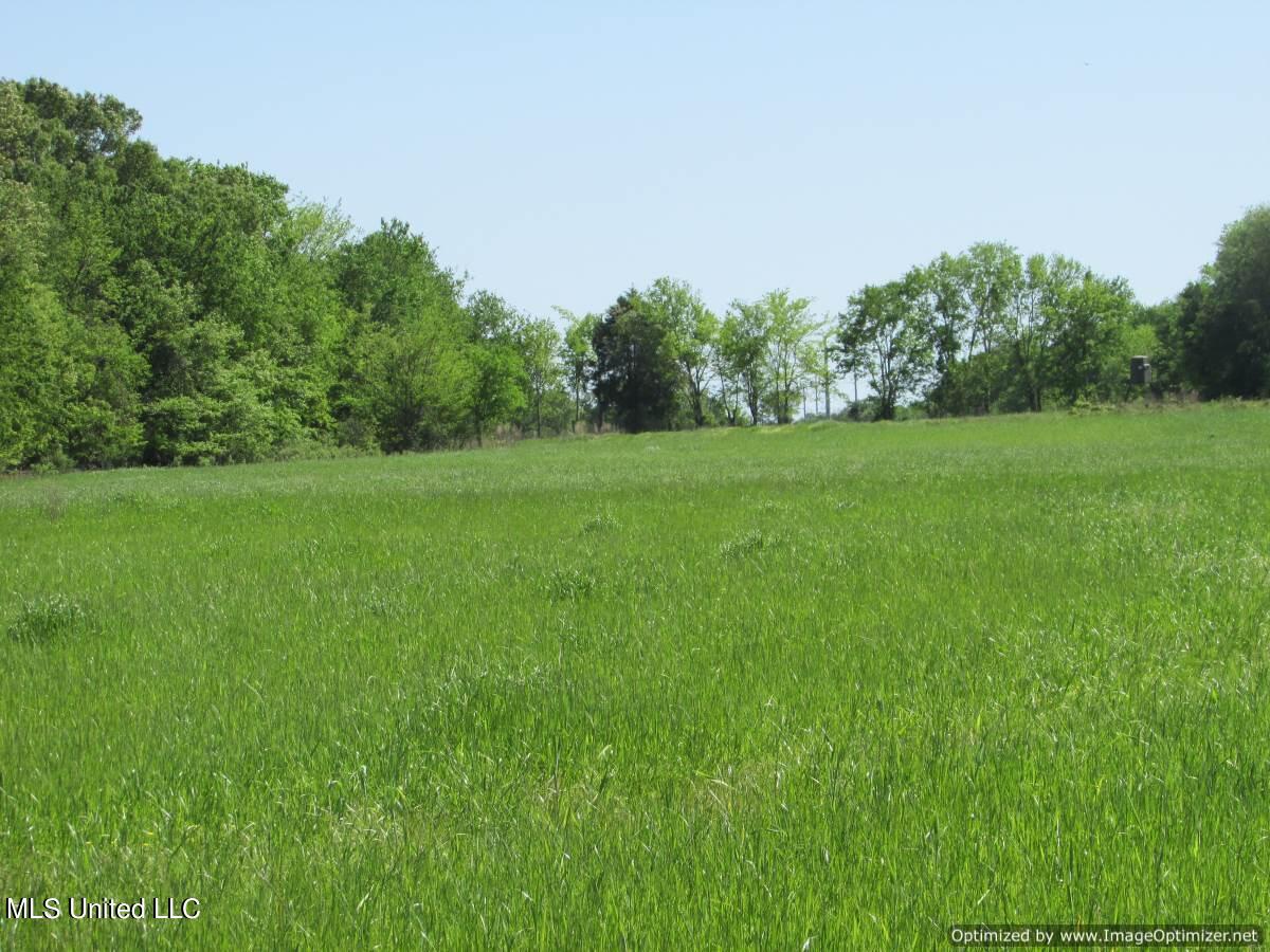 2968 Highway 22 Madison, MS 39110 - Photo 10 of 37 IMG_0011