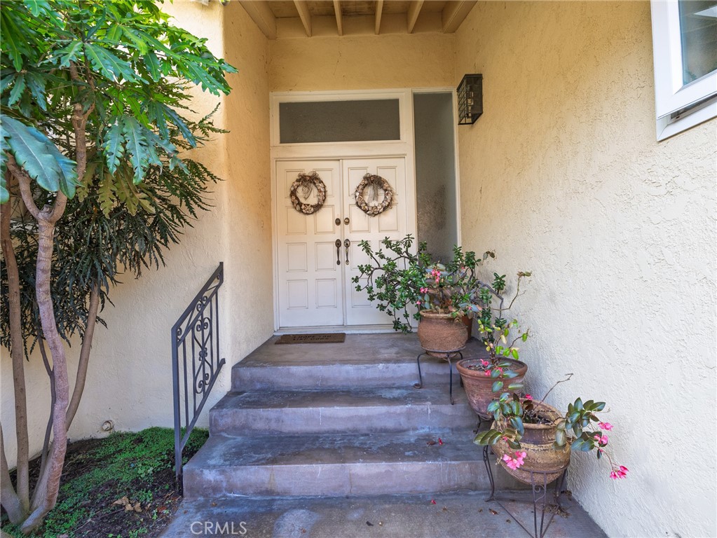 a potted plant sitting in front of a door