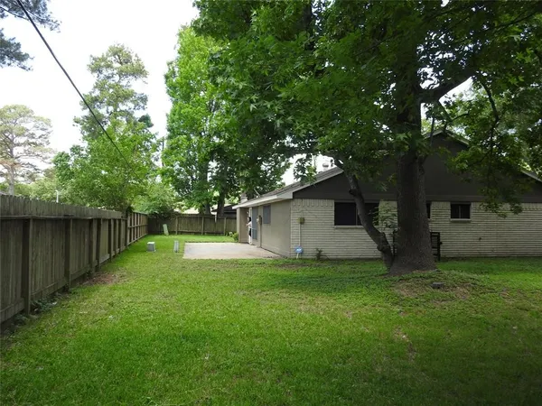 a view of a backyard with a large tree