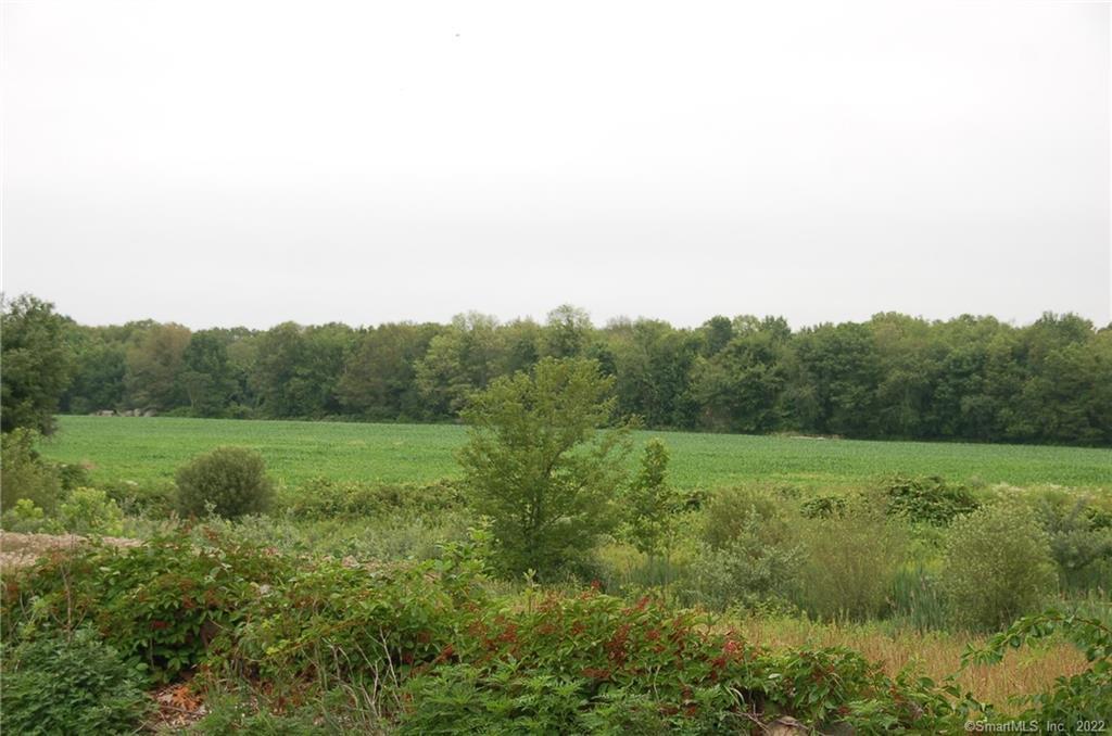 Beautiful raw land. 13.34 acres. Stonewalls and pastures. Possible to subdivide.