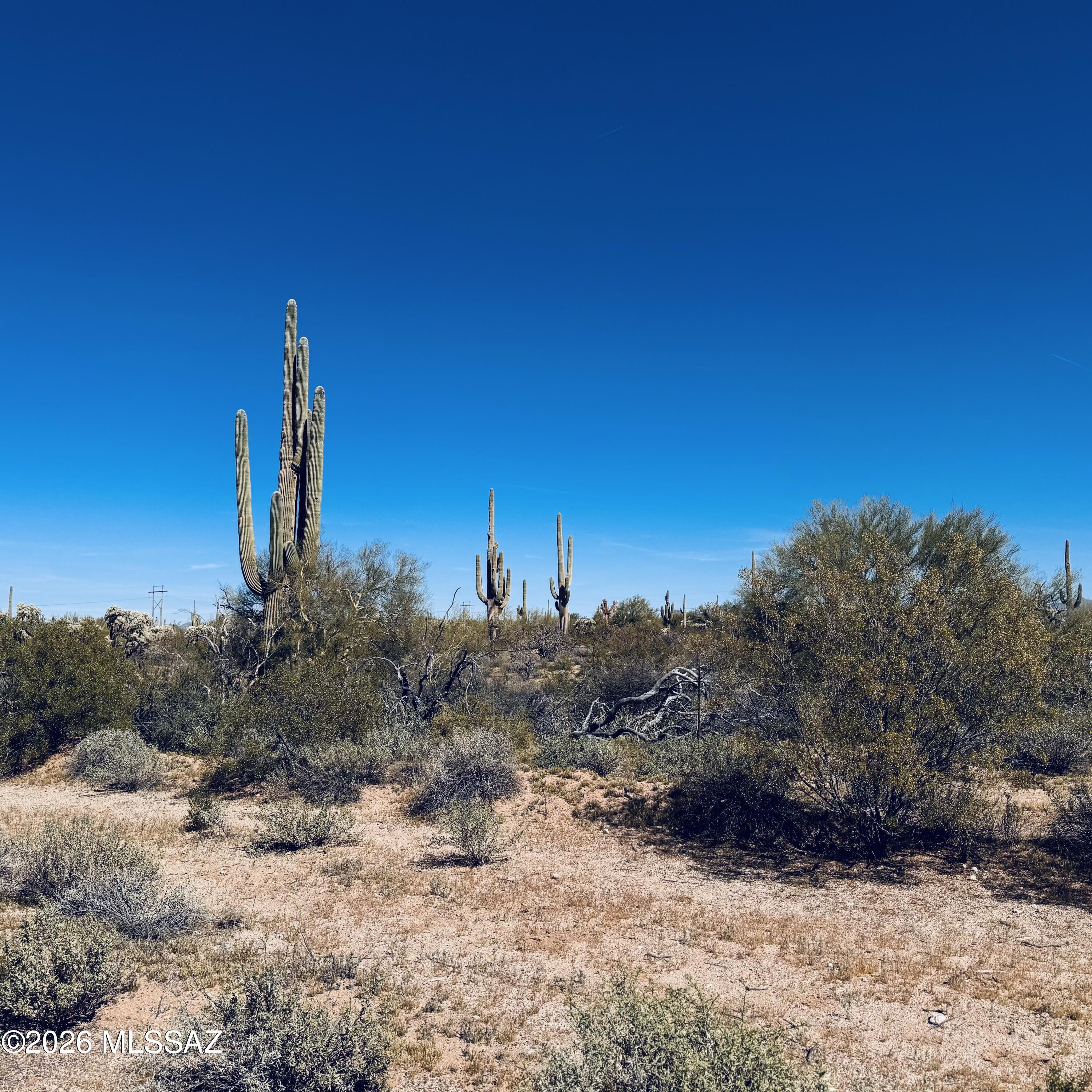 0 South Cattle Tank Road Marana, AZ 85658 - Photo 12 of 18 IMG_3138