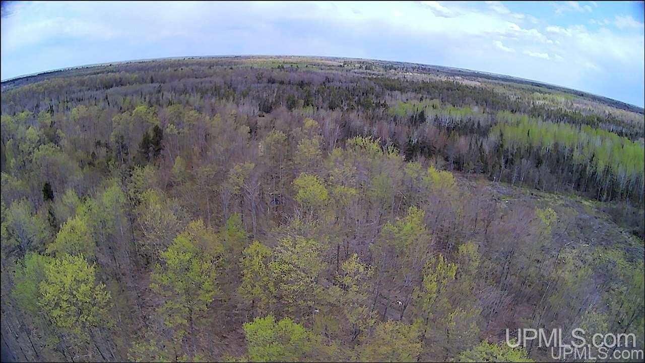 Tbd Tbd Truax Road, Unit 1 Cornell, MI 49818 - Photo 17 of 43
