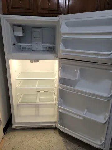 a view of a potted plant on the wall