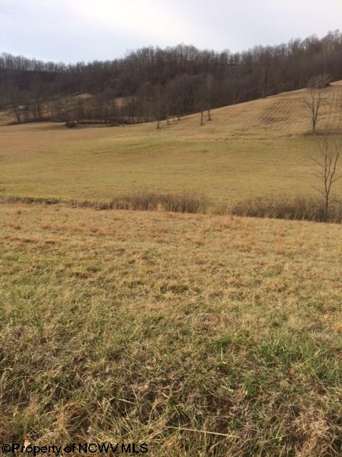 0 Laurel Run Fairview, WV 26570 - Photo 5 of 5 Gallery Image 5