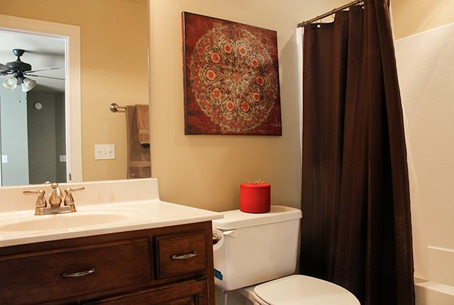 5336 Sherrington Road Murfreesboro, TN 37128 - Photo 13 of 20 2nd master bath with combo tub and shower.