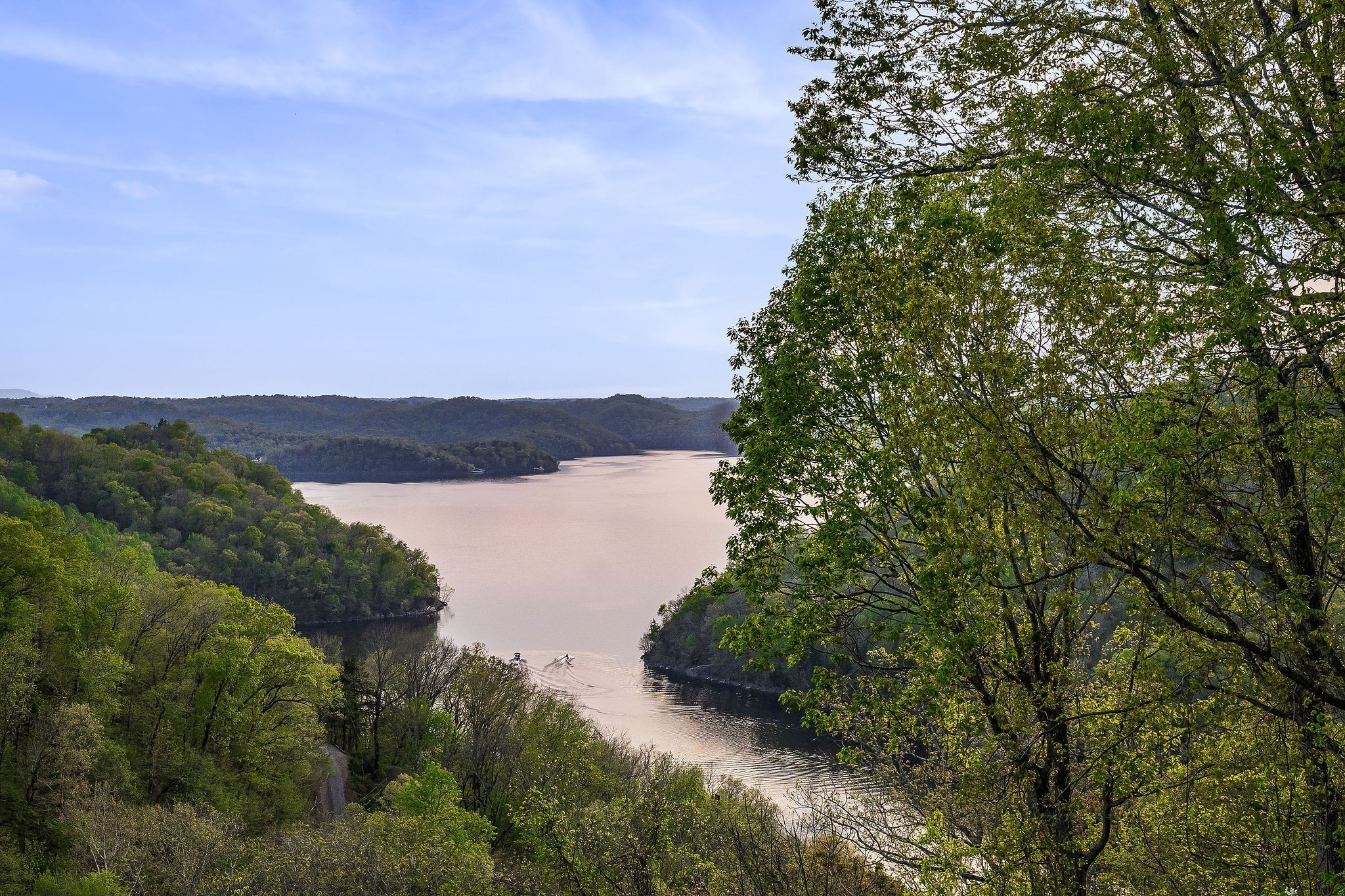 258 Captain Point Silver Point, TN 38582 - Photo 5 of 35