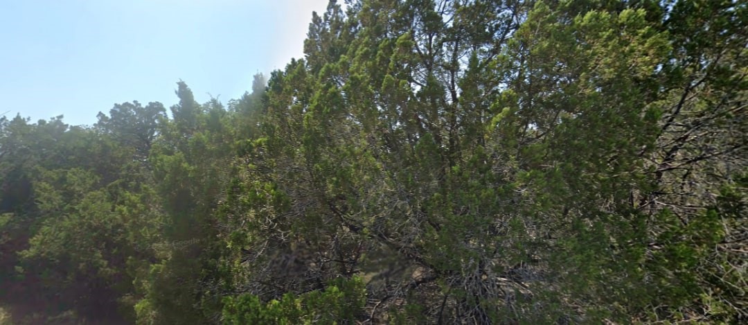 8104 Aztec Trail Leander, TX 78645 - Photo 4 of 4