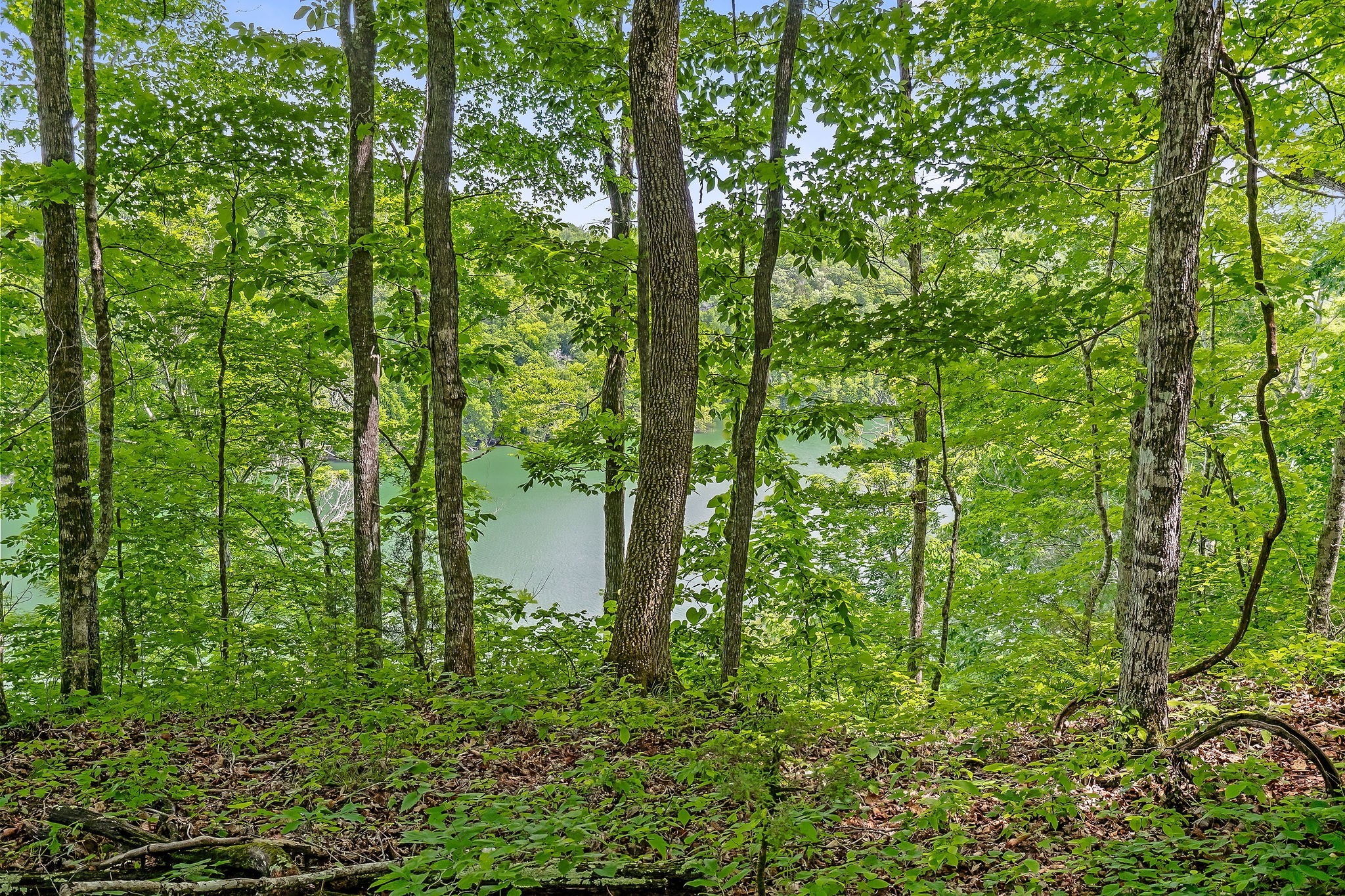 7 H Potts Camp Road Smithville, TN 37166 - Photo 24 of 26