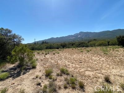 19 Higgins Road Anza, CA 92539 - Photo 9 of 18