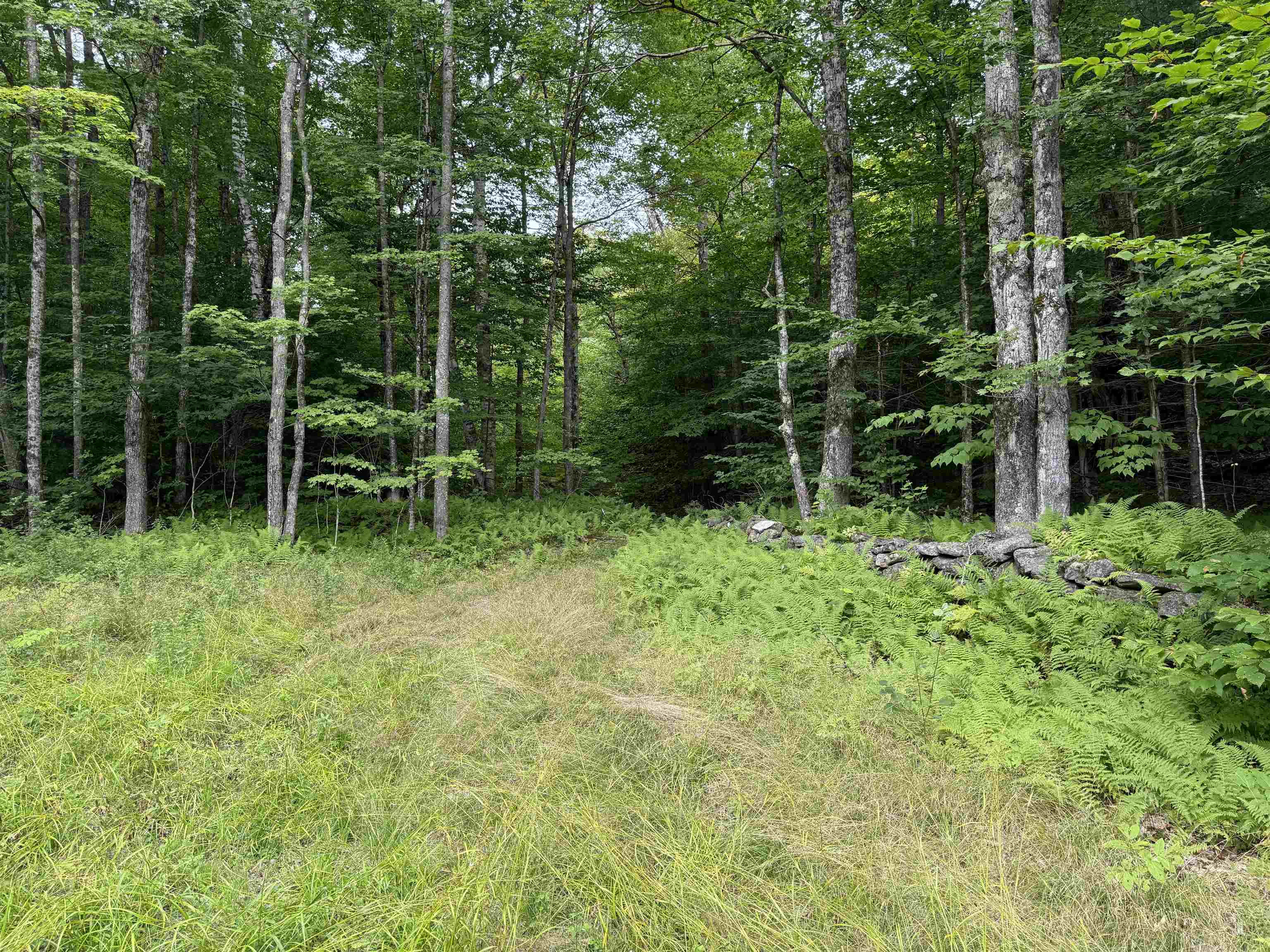 260 Manning Road Townshend, VT 05353 - Photo 2 of 2