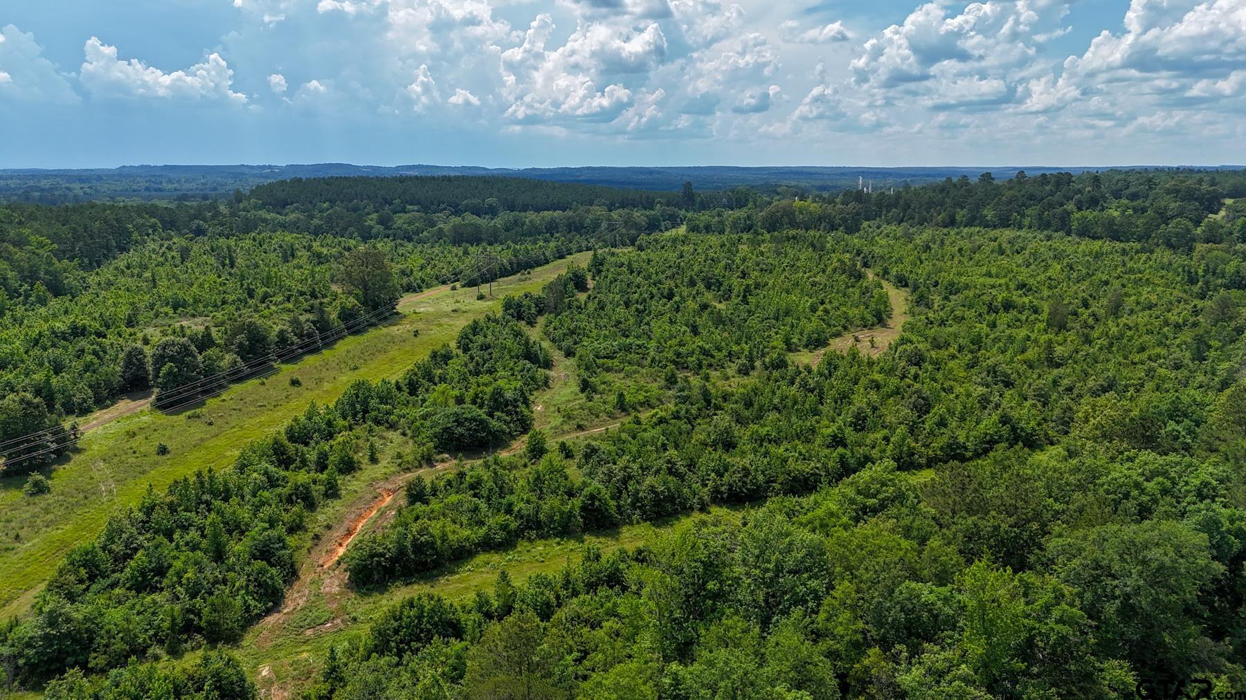 0 Avinger Cut Off Road Avinger, TX 75630 - Photo 33 of 48