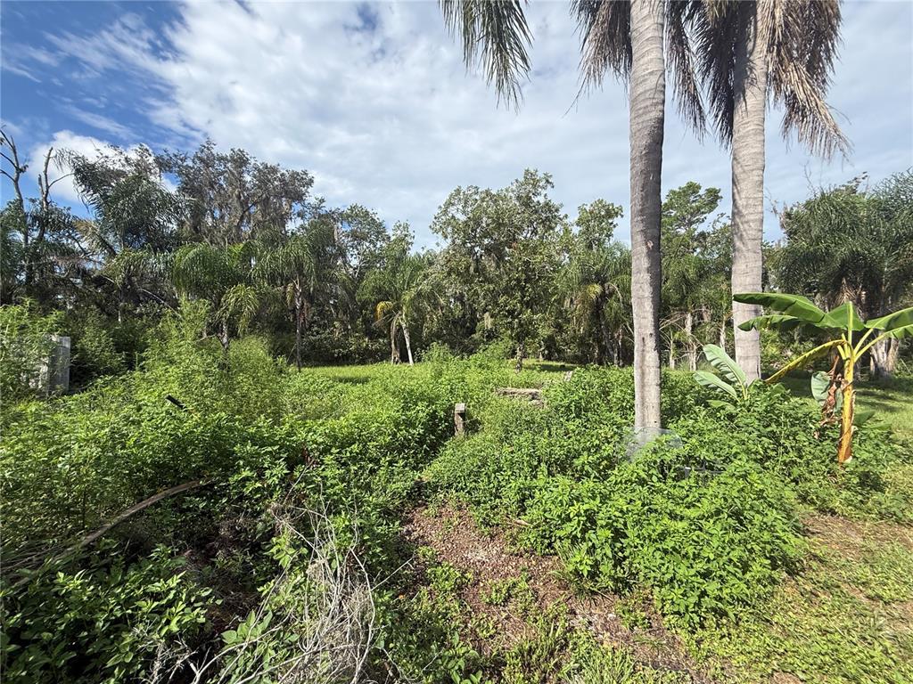 10305 Revell Road Parrish, FL 34219 - Photo 12 of 29 Gallery Image 12