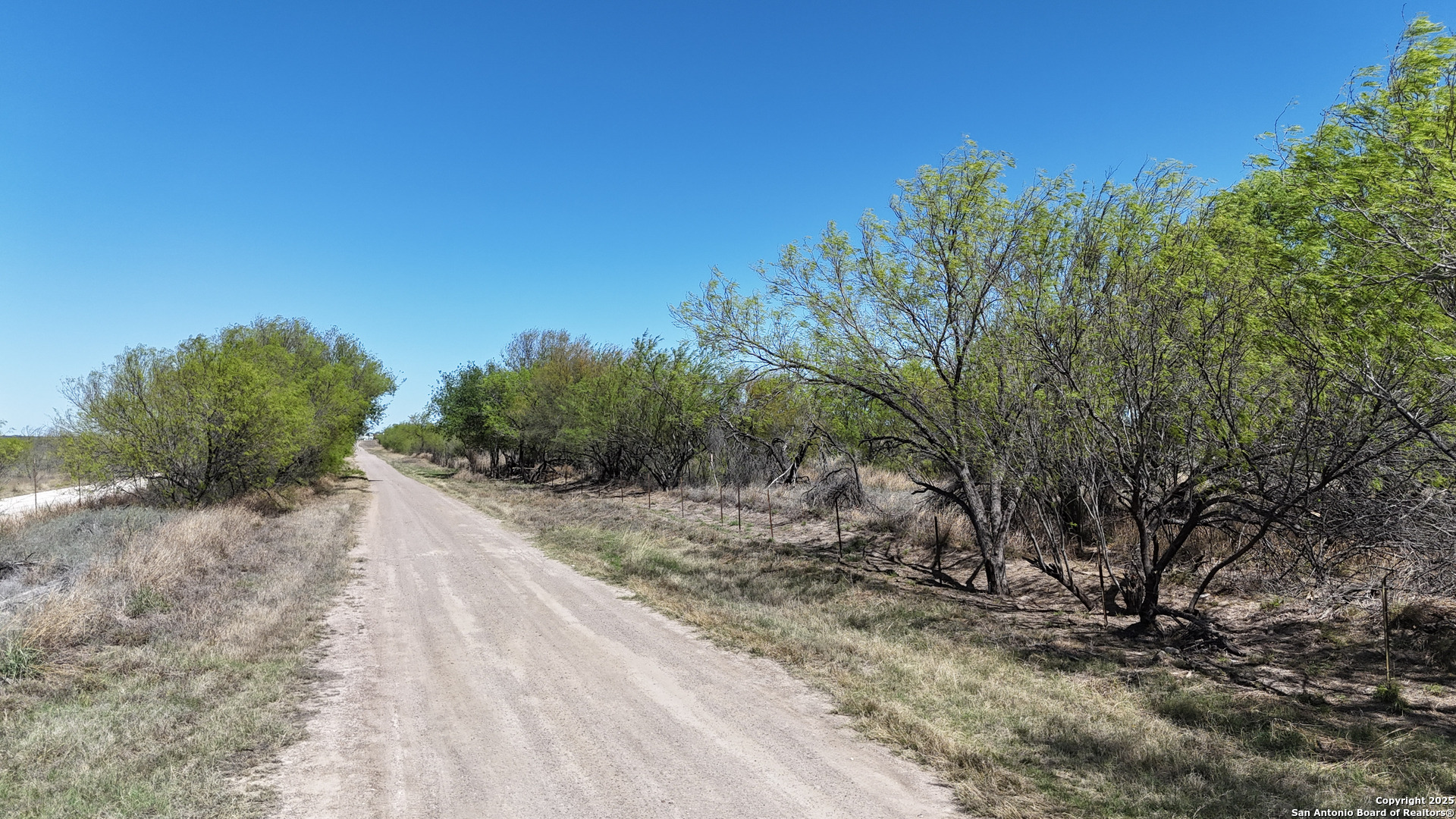 0 Mines Road Laredo, TX 78045 - Photo 19 of 40 a view of a dry yard with trees