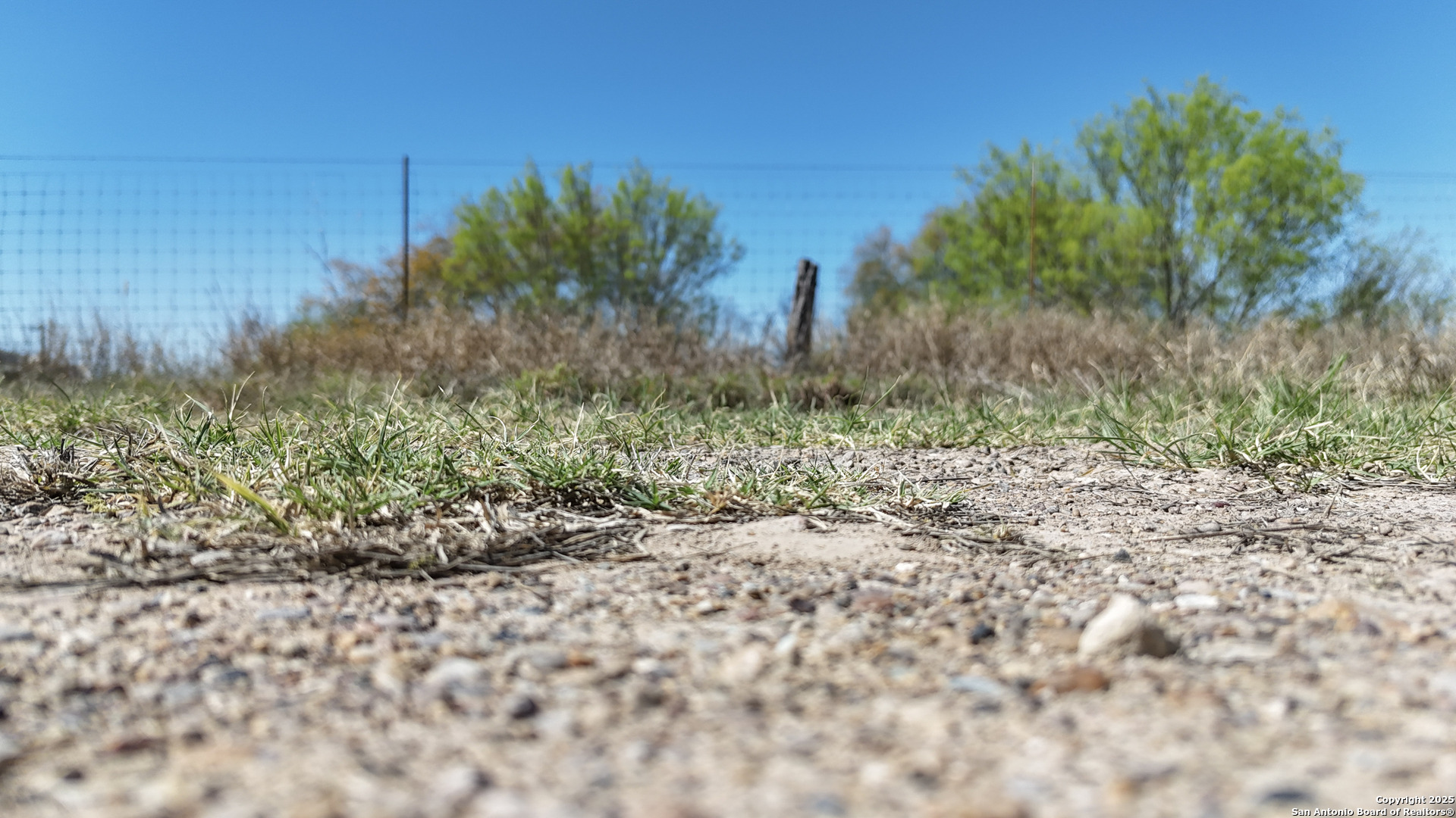0 Mines Road Laredo, TX 78045 - Photo 20 of 40 a view of a yard with plants and a bench