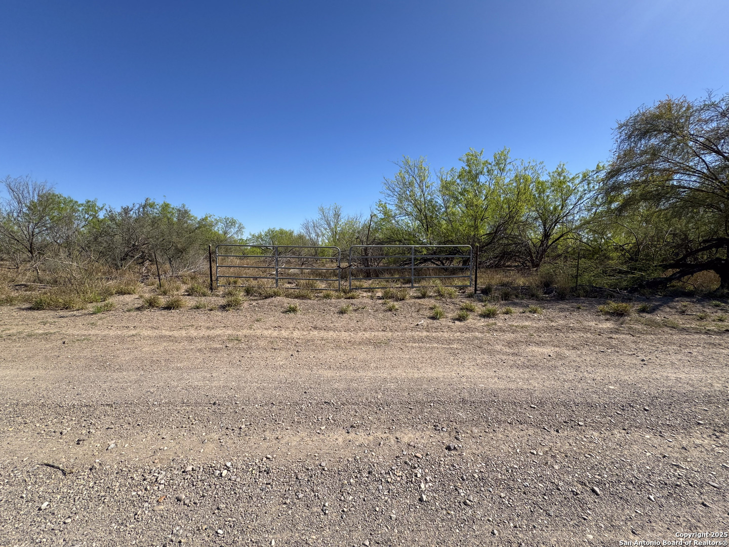 0 Mines Road Laredo, TX 78045 - Photo 4 of 40 a view of a field with trees in background