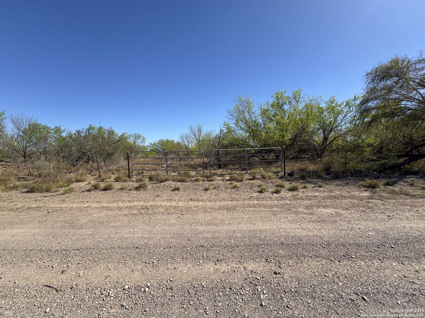 0 Mines Road Laredo, TX 78045 - Photo 5 of 40 a view of dirt field with large trees