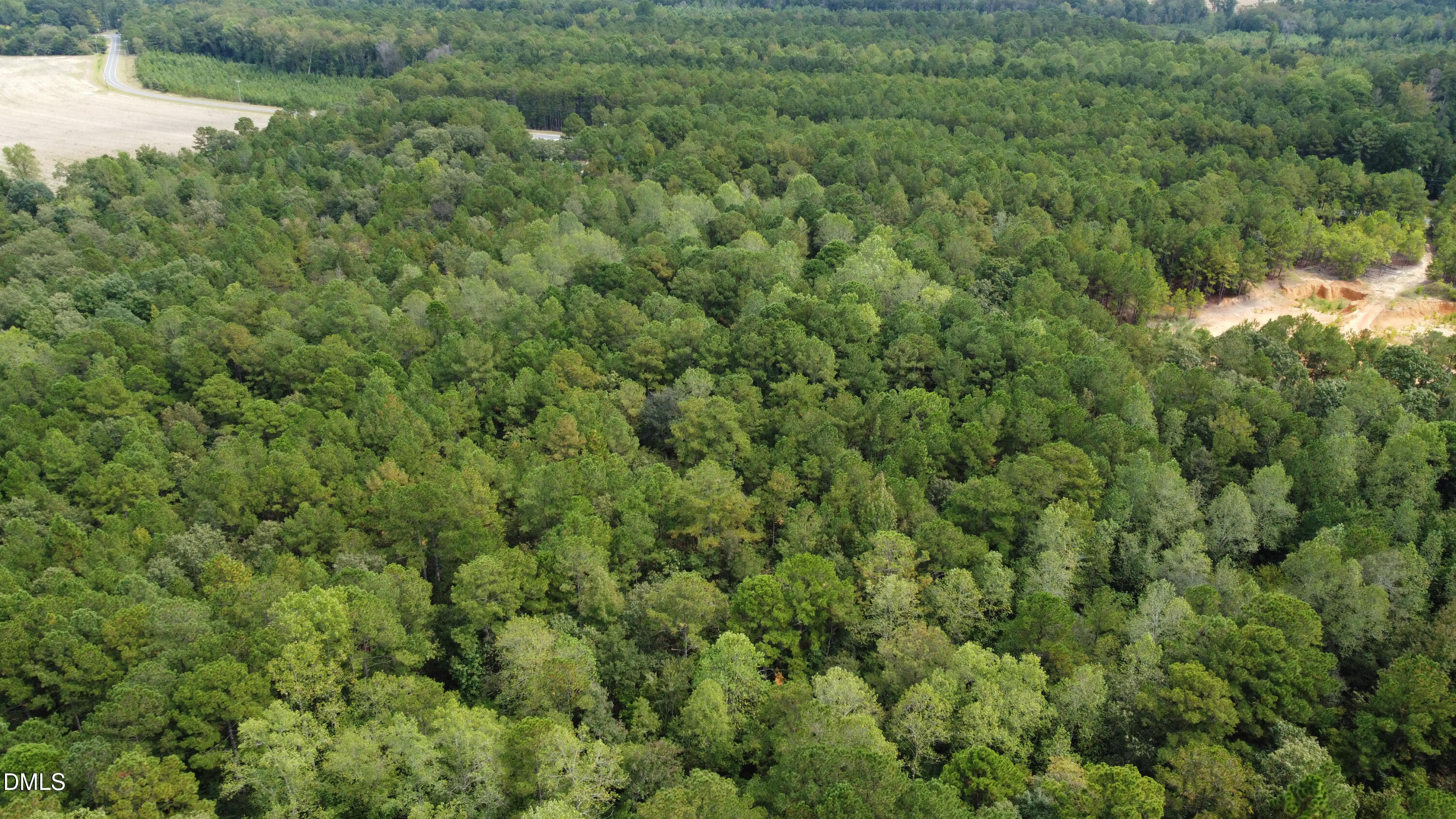 444 Sanderfer Road Bunnlevel, NC 28323 - Photo 2 of 8 a view of a field of grass and trees
