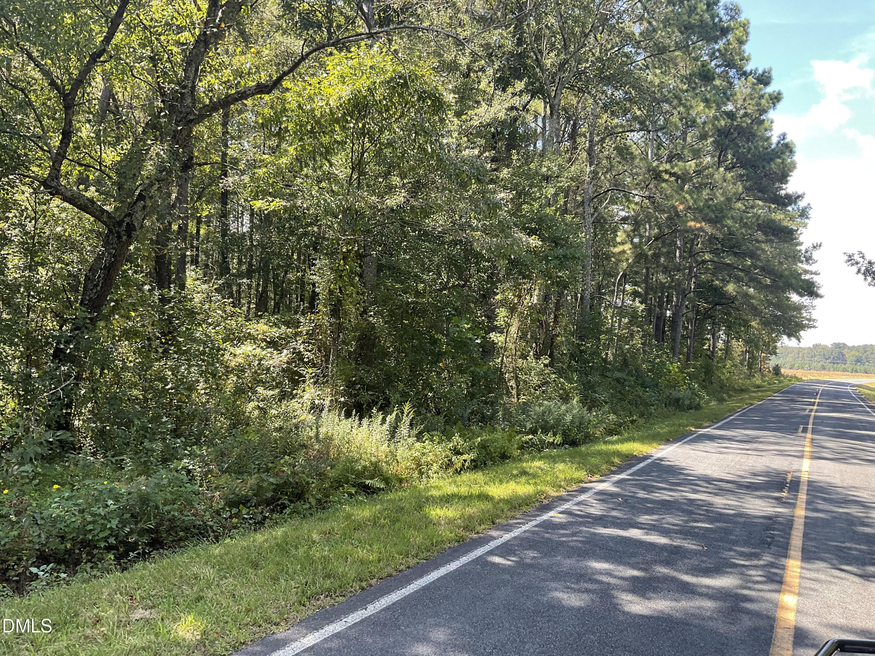 444 Sanderfer Road Bunnlevel, NC 28323 - Photo 4 of 8 a view of a yard with plants and large trees