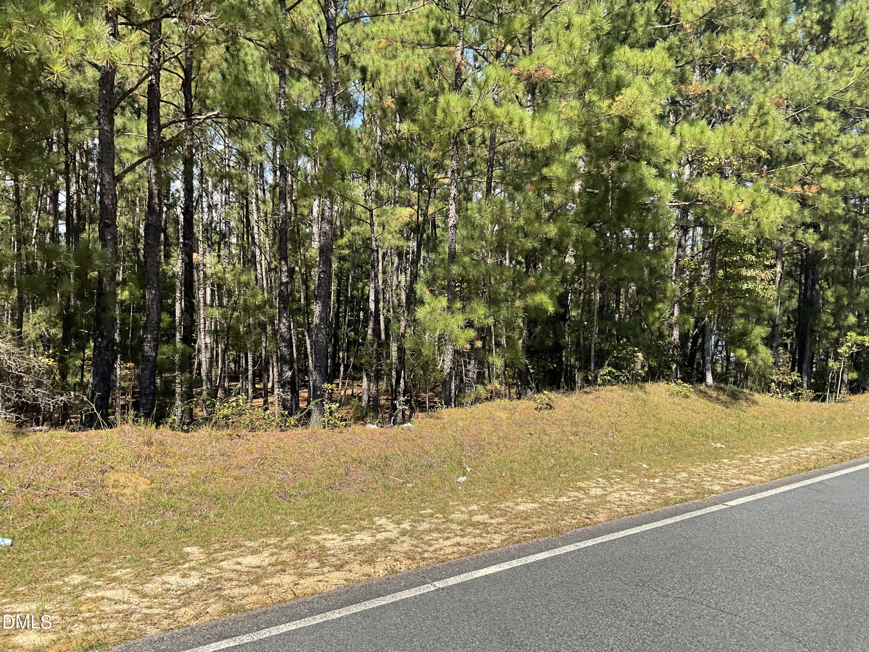 444 Sanderfer Road Bunnlevel, NC 28323 - Photo 5 of 8 a view of water covered with snow