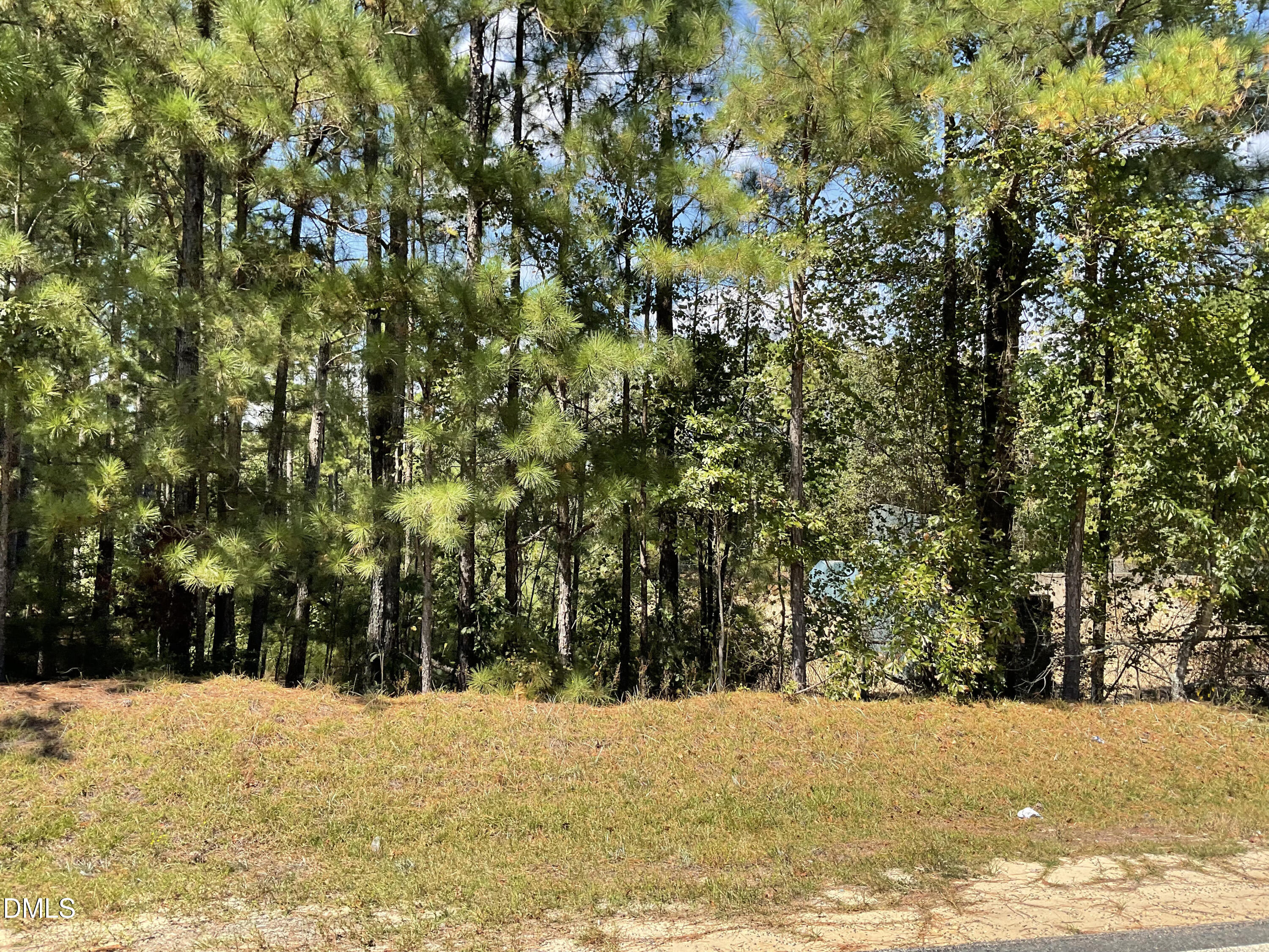 444 Sanderfer Road Bunnlevel, NC 28323 - Photo 6 of 8 a view of road and snow