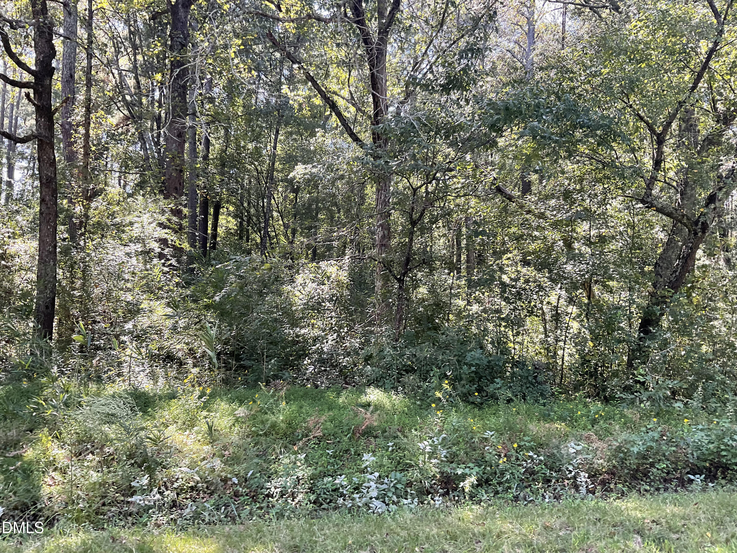 444 Sanderfer Road Bunnlevel, NC 28323 - Photo 8 of 8 a view of a yard with a tree